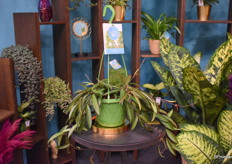 De nieuwe hangpot van Elstgeest met diamant pot.